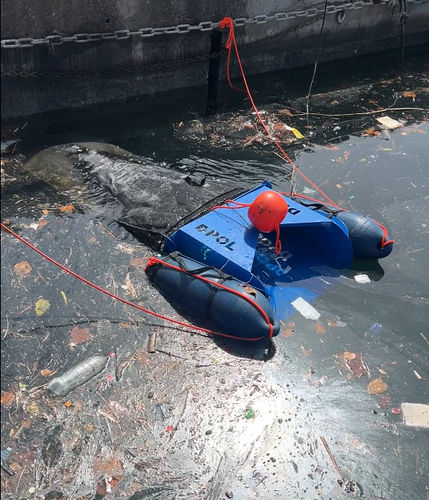 waste collection marine drone - EKKOPOL