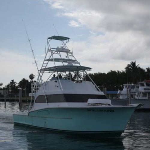 Charter motor yacht - 53'  - Newton Boats - sport-fishing / flybridge / planing hull