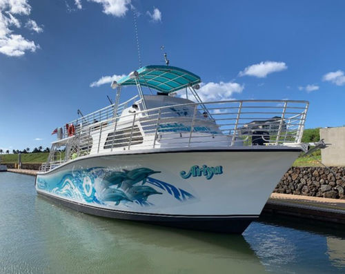 Sightseeing boat - 53'  - Newton Boats - dive support boat