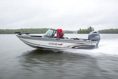 Outboard bay boat - TOURNAMENT SPORT 195 - Alumacraft - dual-console / sport-fishing / aluminum