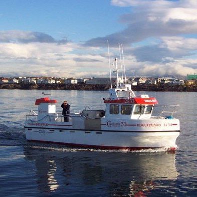 Professional fishing boat - 31 - Trefjar - inboard