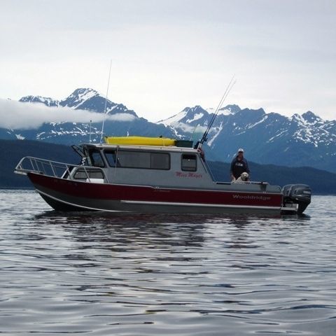 Outboard day fishing boat - 29' SS PILOTHOUSE - Wooldridge - wheelhouse / offshore / aluminum