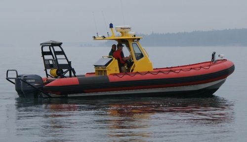 Professional rescue boat - TITAN T249XL - Titan - outboard / rigid hull inflatable boat