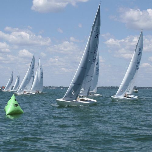 Mainsail - AP-2 - Doyle - jib / spinnaker / for one-design sport keelboats