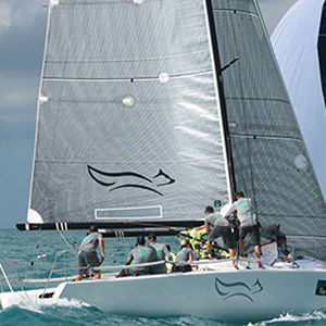 Jib -  FUSION M  - Quantum Sails - for one-design sport keelboats / carbon / Melges 32