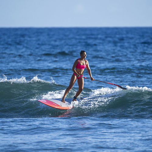All-around SUP - AllWave - Fanatic - wave / surf / intermediate
