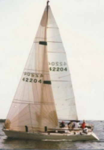 Mainsail - Neilpryde Sails - headsail / for regatta sailboats / tri-radial cut