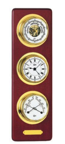 Analog weather station - 3751MS - Barigo
