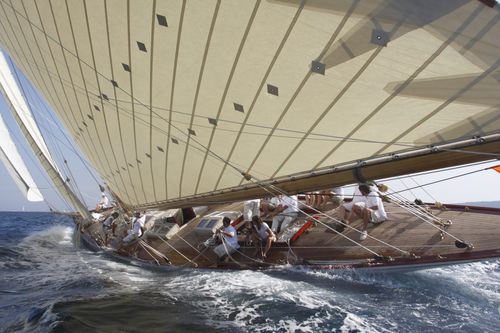 Woven sailcloth - FIBERCON® TRADITIONAL - Contender BV - regatta