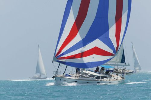 Woven sailcloth - NYLITE / MAXILITE - Contender BV - ripstop / spinnaker
