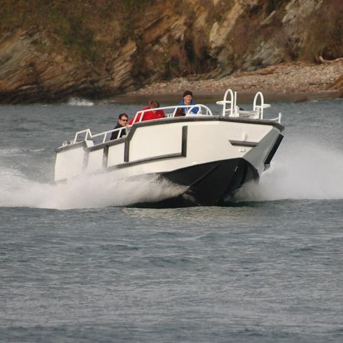 Work boat - 900 TENDER - MOGGARO ALUMINIUM YACHTS - stern-drive / diesel / aluminum