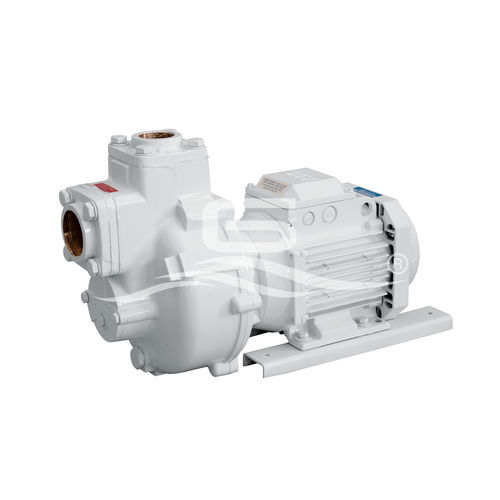 Boat pump - BMA-G - GIANNESCHI PUMPS & BLOWERS - transfer / for grey water / impeller