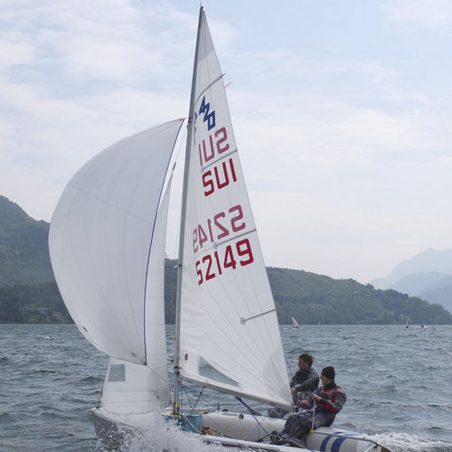 Mainsail - Ullman Sails - for sailing dinghies / radial cut / Dacron®