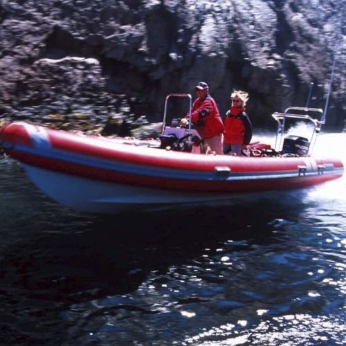 Professional rescue boat - GM 5.4 - NORTHSTAR RIBs - outboard / rigid hull inflatable boat / open boat