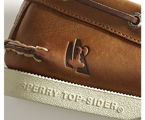 sperry america's cup