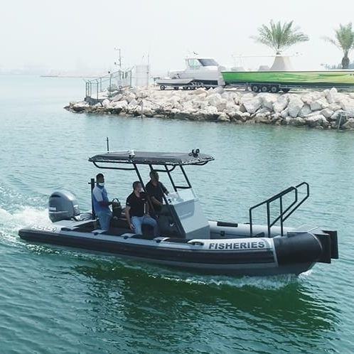 Patrol boat - 7. M D-Tube - ASIS BOATS - professional fishing boat / outboard / aluminum