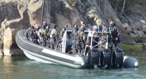 Outboard professional boat - Cougar C11 - Griffon Hoverwork - rigid hull inflatable boat