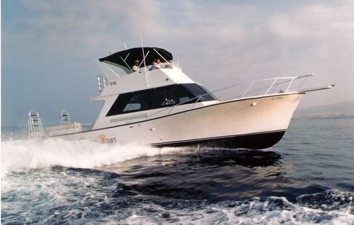 Inboard express cruiser - PRO 45 - Island Hopper International Boat Works, Inc. - flybridge / dive / sport-fishing