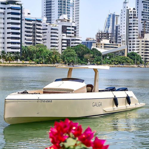 Passenger boat - Galéa 1100 - BORD A BORD - outboard / aluminum / rigid hull