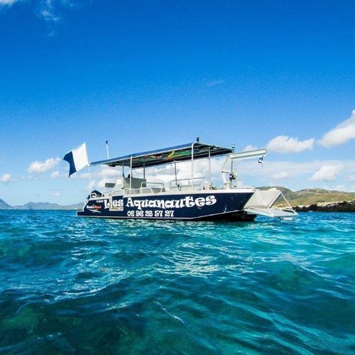 Work boat - FOXSEA 800 - BORD A BORD - passenger boat / dive support boat / outboard