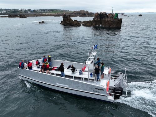 Dive support vessel special vessel - OdySea 11.00 - BORD A BORD - catamaran / aluminum
