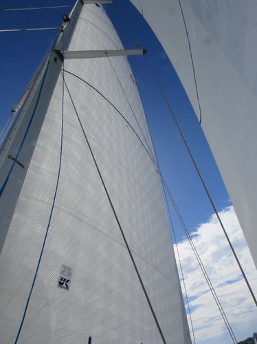 Mainsail - Endure  - UK-Halsey International - for cruising sailboats / polyester / Dyneema®