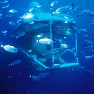 Tourist submarine - LARGE  - Silvercrest Submarines
