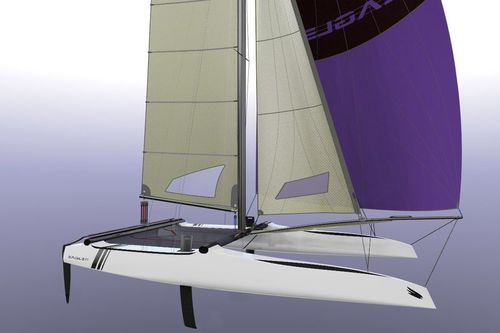 Coastal racing sport catamaran - 20 C - Eagle Catamarans - double-handed / double-trapeze / asymmetric spinnaker