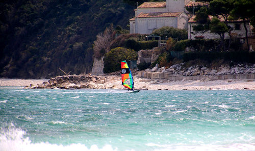 freeride windsurf sail - HOT SAILS MAUI