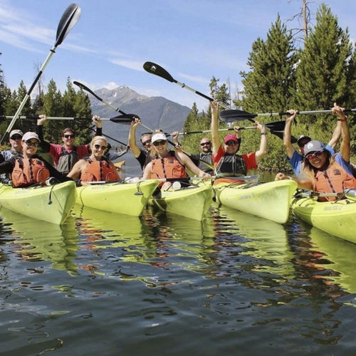 Kayak paddle - Whisper - Bending Branches - recreational / entry-level / asymmetrical