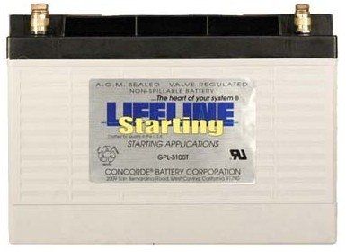 Marine battery - GPL-3100T - Lifeline Batteries - 12 V / lead / AGM
