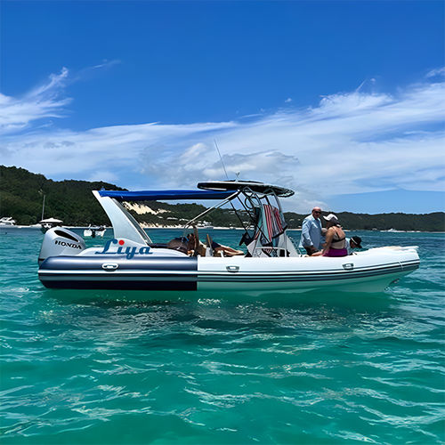 Outboard inflatable boat - RIB750-C - Qingdao Lian Ya Boat Co.,Ltd. - gasoline / twin-engine / rigid