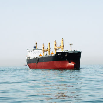 Bulk carrier cargo ship - DAE SUN SHIPBUILDING - Panamax