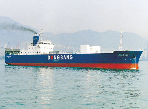 Ro-Ro cargo ship - DAE SUN SHIPBUILDING