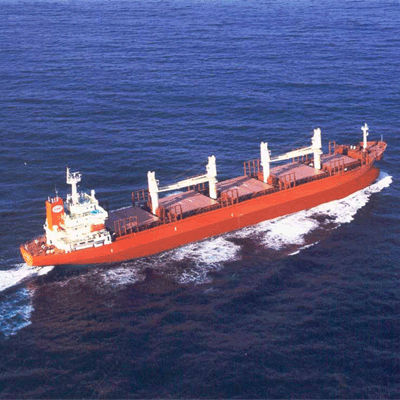 Bulk carrier cargo ship - HYUNDAI MIPO DOCKYARD