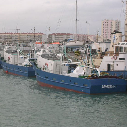 Purse seiner - 19 - Estaleiros Navais de Peniche - inboard / steel / GRP