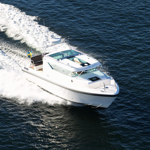 Inboard express cruiser - 290 sw - Delta POwerboats - hard-top / high-performance / 1-cabin