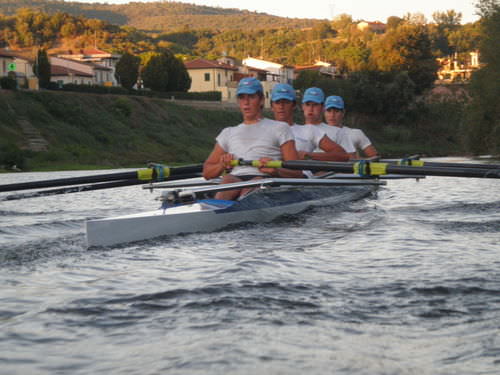 Racing shell - Wing Series - SALANI costruzioni nautiche S.n.c. - quadruple scull / without coxswain