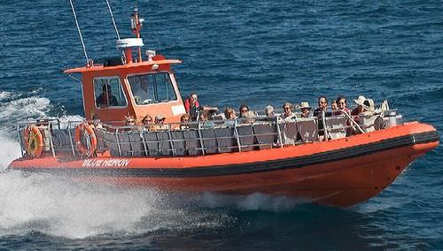 Passenger boat - Zephyr - Hike Metal Products - inboard waterjet / rigid hull inflatable boat