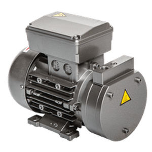 Ship vacuum pump - 3 S - Bgs General Srl - for shipyards / electric / 12 V