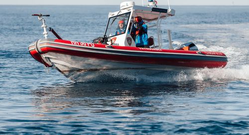 Patrol boat - PA 760 - HIGHFIELD BOATS - work boat / outboard / aluminum