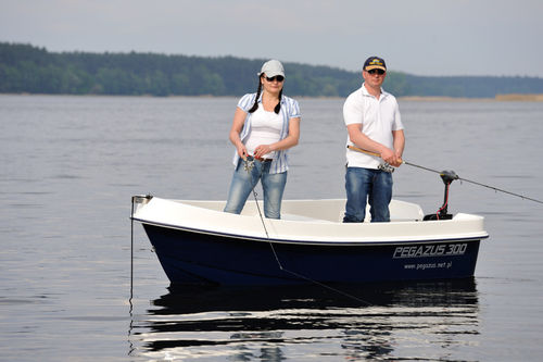 Outboard open boat - PEGAZUS 300 - Przedsiebiorstwo Uslug Specjalistycznych ''PEGAZUS'' 
