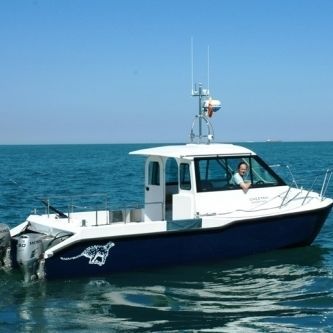 Catamaran day cruiser - Boblin 2 - Cheetah Marine - outboard / twin-engine / wheelhouse