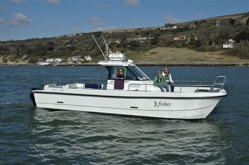 Catamaran walkaround - 3 Fishes - Cheetah Marine - outboard / twin-engine / center console