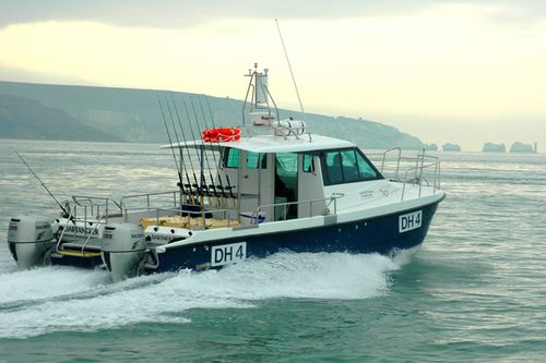 Catamaran walkaround - Dartangler - Cheetah Marine - outboard / twin-engine / wheelhouse