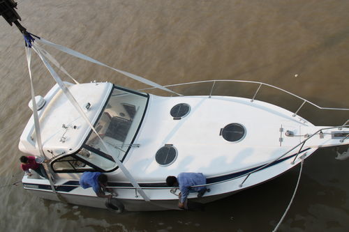 Professional fishing boat - YB-315 - Changzhou Youbang Boat Co., Ltd. - stern-drive / fiberglass