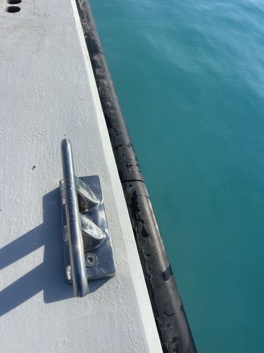Marina fender - DDRubber - Marinova Floating Systems B.V. - for boat / for pontoon boats / for harbor