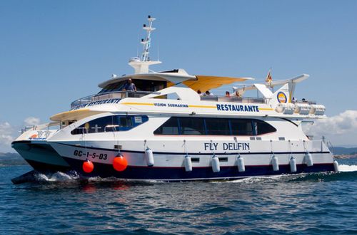 Sightseeing boat - Fly Delfin - Drassanes Dalmau, S.A - catamaran / inboard