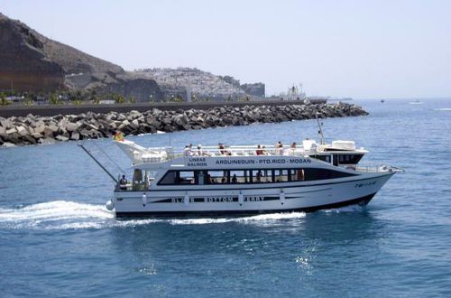 Sightseeing boat - SALMON ONCE - Drassanes Dalmau, S.A - inboard