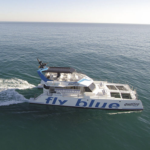 Sightseeing boat - FLY BLUE QUATTRO - Drassanes Dalmau, S.A - catamaran / inboard